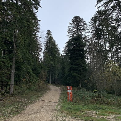 Randonnée - Les crêtes de la Clye