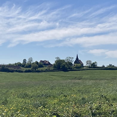 Boucle Loire / Cercy - Charrin - Montambert - Fours