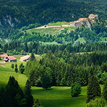 Roche Sarrazine - n°1 - LES FOURGS