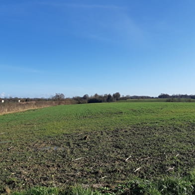 Sur les chemins de St Didier d'Aussiat (Version courte)