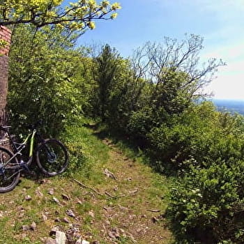 Mont Nivigne et Grotte à l'Ours - VAL-REVERMONT