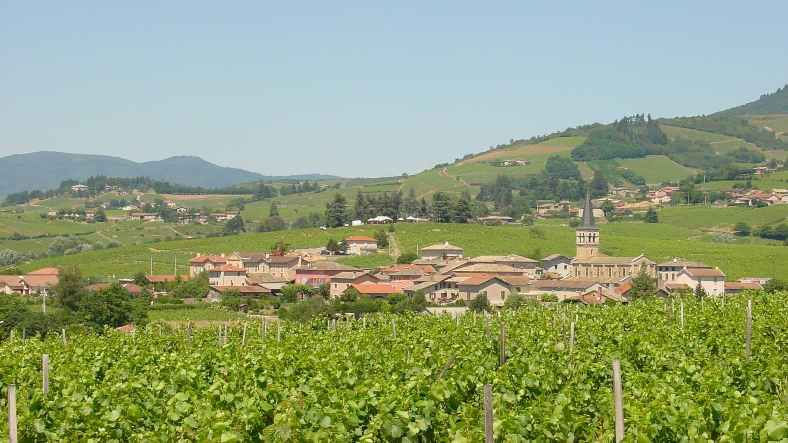 Circuit VTT B7 de Régnié-Durette à Lantignié