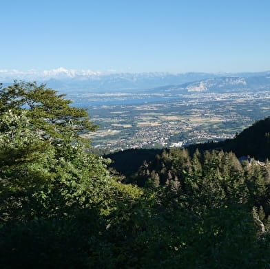 Randonnée pédestre : La Faucille - belvédère de la Redoute