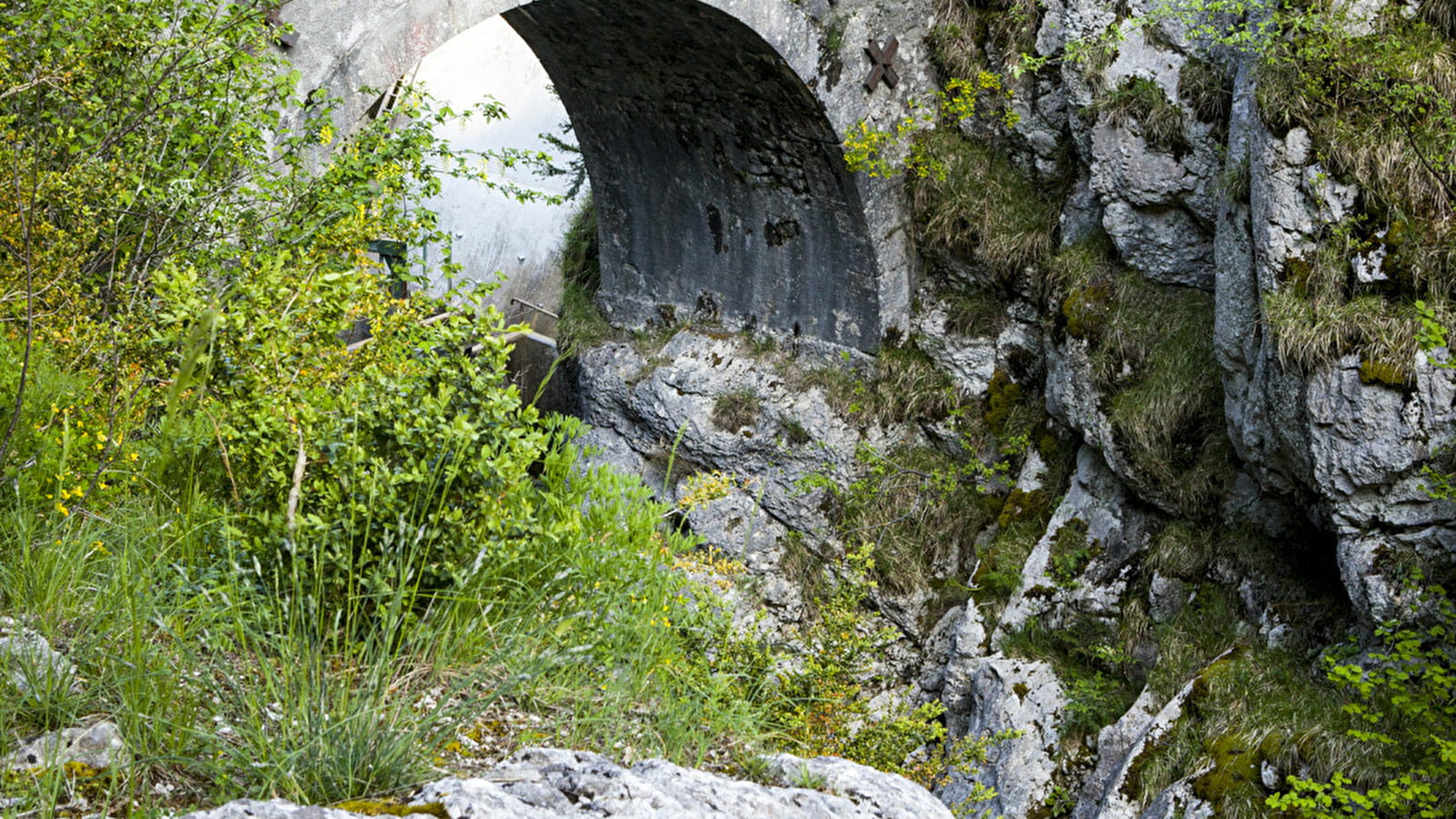 Le Dragon Sous-Roche