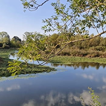 Espace Naturel Sensible du Petit Fleury - BOURBON-LANCY