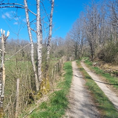 Randonnée - Bohas et la Vallée du Suran