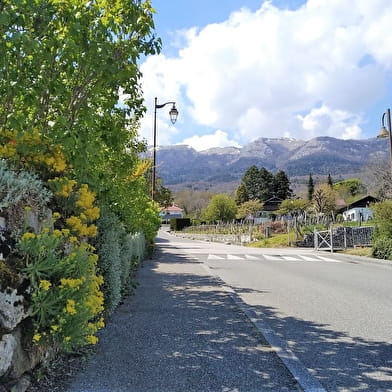 Balade à Thoiry : ' en Molie'