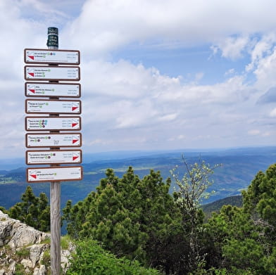 Randonnée pédestre : Crozet au Crêt de la Neige par la Calame
