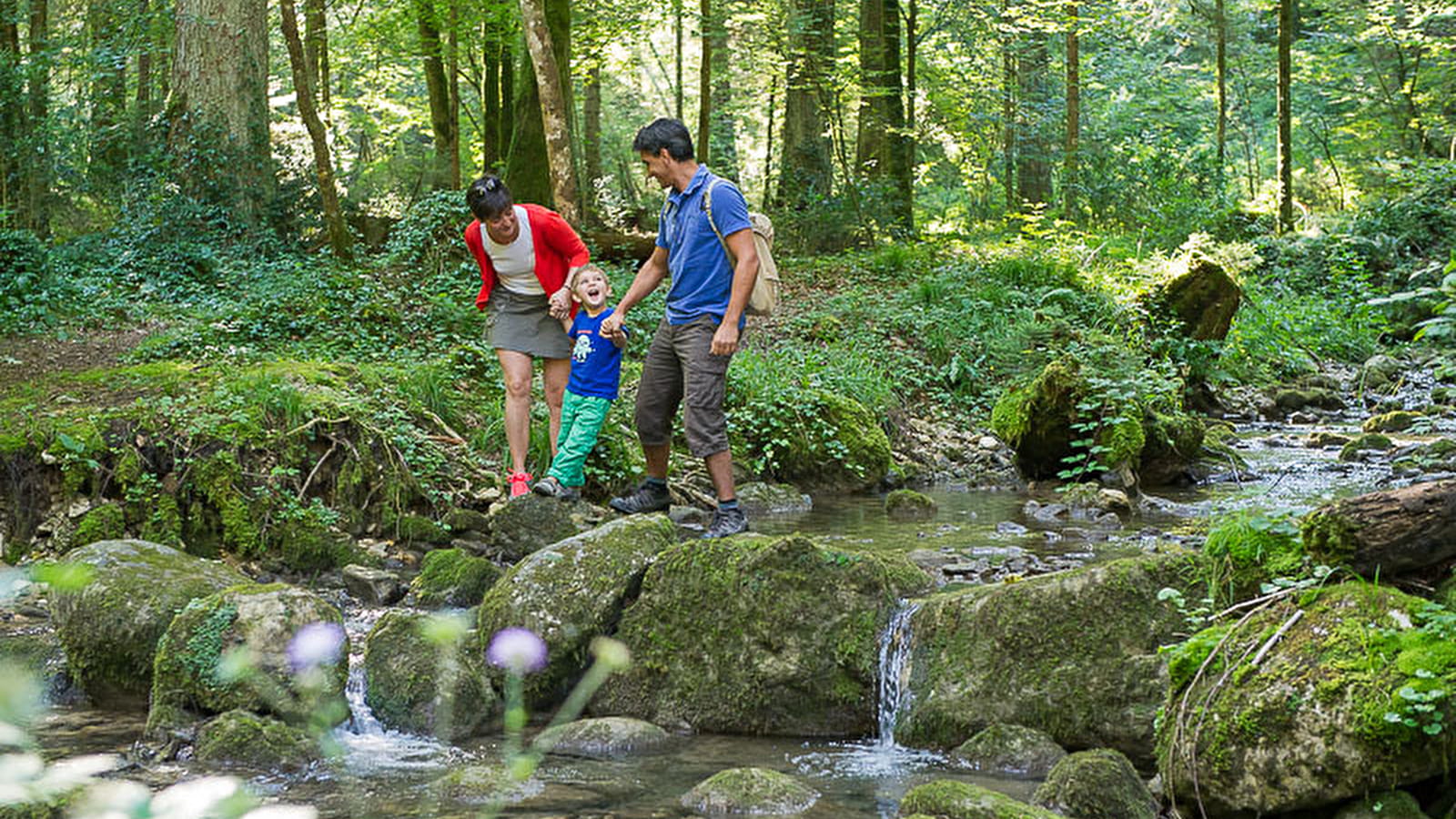 Balade - La Sarsouille