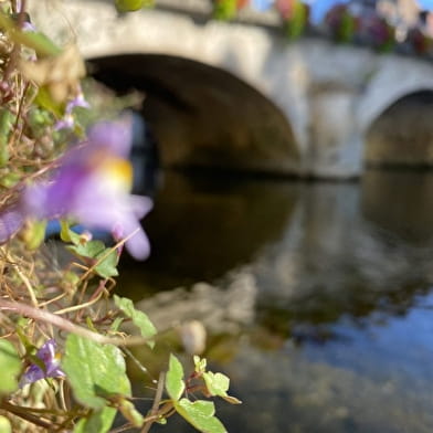 Balade urbaine au fil de la Loue