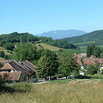 Grandes Traversées du Jura (GTJ) : Itinéraire équestre de Crosey le Petit à Arbignieu - ARBOYS EN BUGEY