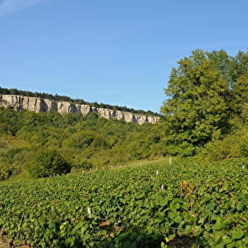 Tour du Bout du Monde - CORMOT-VAUCHIGNON
