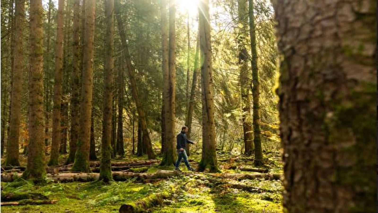 Circuit de randonnée : Boucle des trois bornes