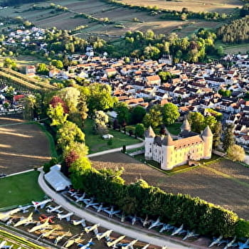 Savigny, ainsi va la vigne - SAVIGNY-LES-BEAUNE