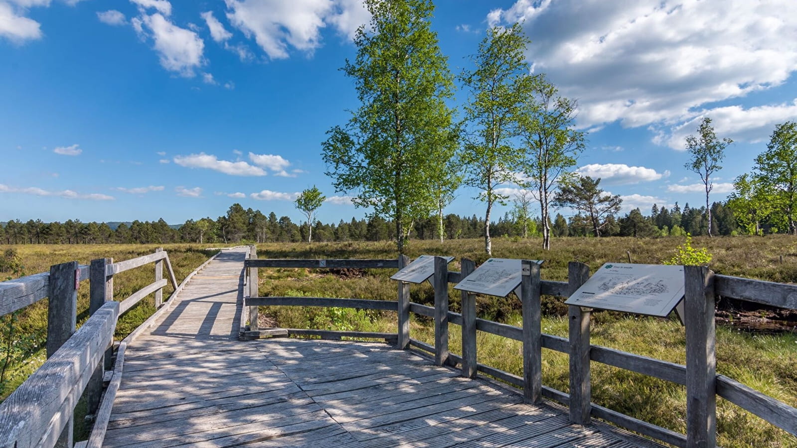 Tourbières de Frasne-Bouverans (Petite boucle)
