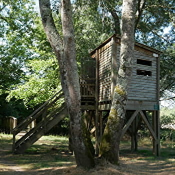 Balade famille : Sentier de découverte du Passeur du Bec d'Allier - GIMOUILLE