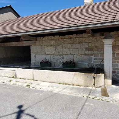 Parcours VTTAE 51 vert - Marais de Vaux les Teillères - Espace FFC Ain Forestière