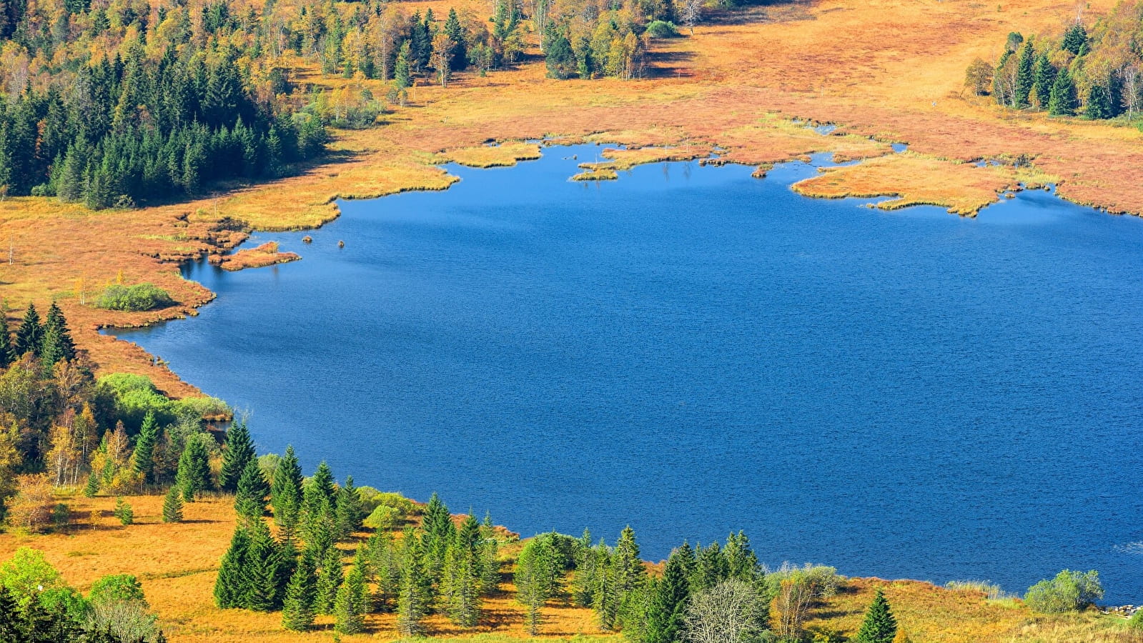 Tour des Lacs de Bellefontaine et des Mortes - 18B