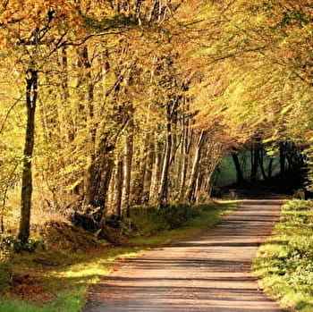 Sentier Colette - SAINT-SAUVEUR-EN-PUISAYE