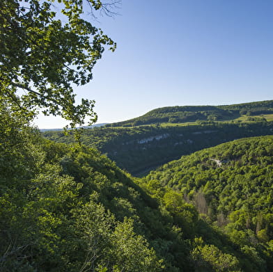 Belvédères de Lizine