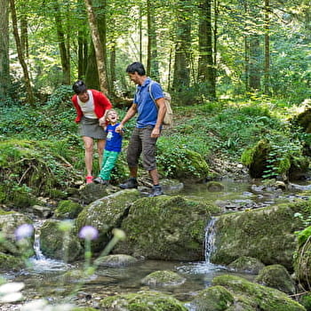 Balade - La Sarsouille - OYONNAX