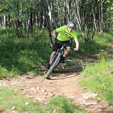 Parcours VTT 52 bleu - Les Crêtes de Charabotte - Espace FFC Ain Forestière