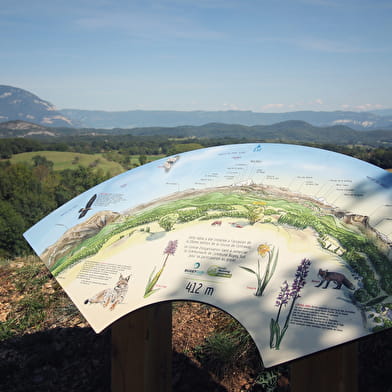 Parcours trail de Contrevoz : circuit bleu 7 km