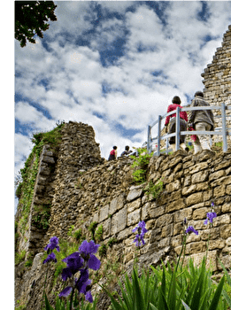 Sentier du Fort et des Batteries  - MONTFAUCON