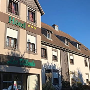 Hôtel les Tilleuls - AUDINCOURT