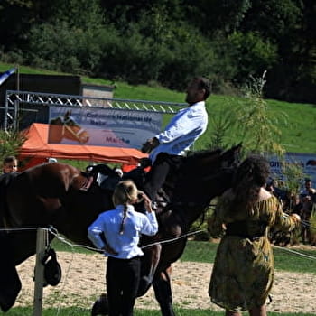 Les Comtois en folie ! - 