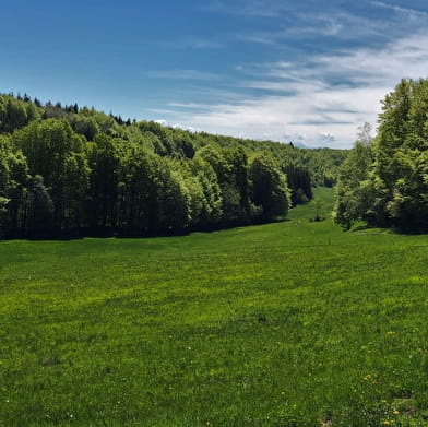 Parcours VTT 13 rouge - Le sud du Plateau de Retord - Espace FFC Ain Forestière
