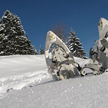 Circuits raquettes à Saint-Pierre - SAINT-PIERRE