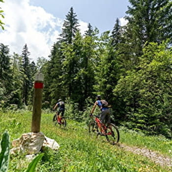 Sur les Gîts / Chapelle-des-Bois - 31B - FONCINE-LE-HAUT