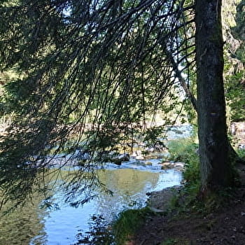 Gorges du Fourperet - LONGEVILLES-MONT-D'OR