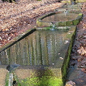 Circuit du Haut-Bois - LUXEUIL-LES-BAINS