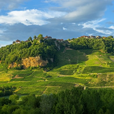 Boucle 23 : Tour des reculées de la Haute Seille