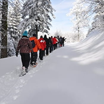 Circuit Les Petits Lynx - PLANCHER-LES-MINES