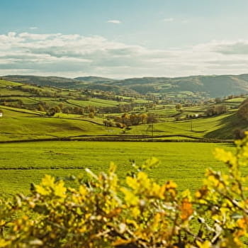 Bellevue - SAINT-SYMPHORIEN-DE-MARMAGNE