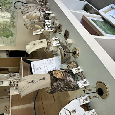 Achillée s'invite dans la vitrine de l'office de tourisme