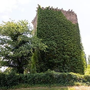 Montagne et bois de La Salle - LA SALLE