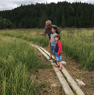 Lacs et tourbières du Grandvaux