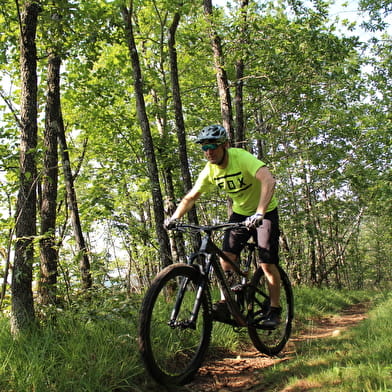 Parcours VTT 54 bleu - Aranc et les Hauts d'Evosges - Espace FFC Ain Forestière