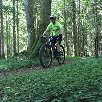 Parcours VTT 56 bleu - Le Jorat - Espace FFC Ain Forestière - BRENOD