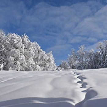 Itinéraire Raquettes du Plateau de Retord R10 au départ de la Chapelle - HAUT VALROMEY
