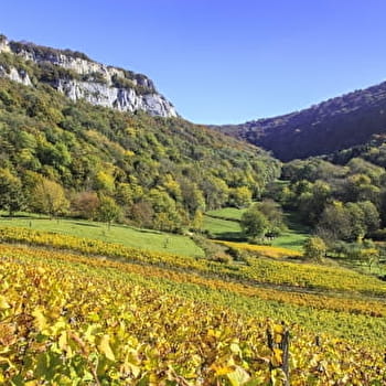 Balade à Lavigny - LAVIGNY