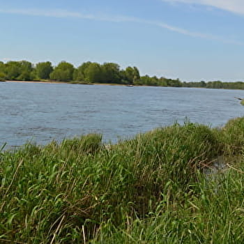 De l'eau et des arbres - LA CHARITE-SUR-LOIRE
