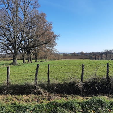 Sur les chemins de St Didier d'Aussiat (Version courte)