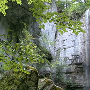 Ruisseau du Pissoux - PLAIMBOIS-DU-MIROIR