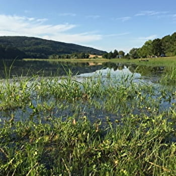 Parcours VTT 71 bleu - Vallée de l'Oignin la Belloire - Espace FFC Ain Forestière - SAMOGNAT