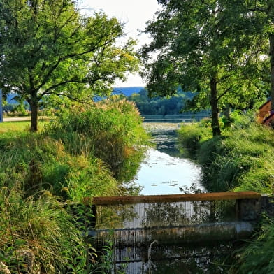 Circuit de randonnée pédestre : Lac et vignobles